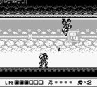 Ninja Gaiden Shadow