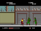 The Ninja Warriors