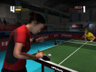 Rockstar Games Presents Table Tennis