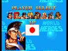 World Heroes