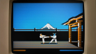 The Making of Karateka