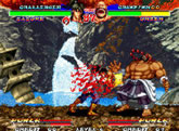 Ninja Master's (SNK)